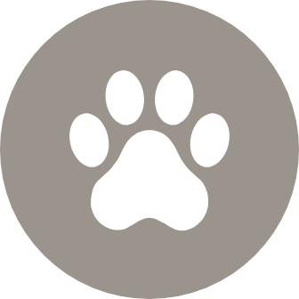 Embrace Fido&rsquo;s true nature at our dog park
